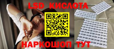 стафф Бийск