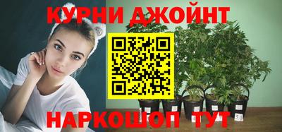 стафф Бийск