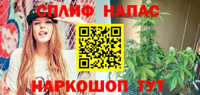 стафф Бийск
