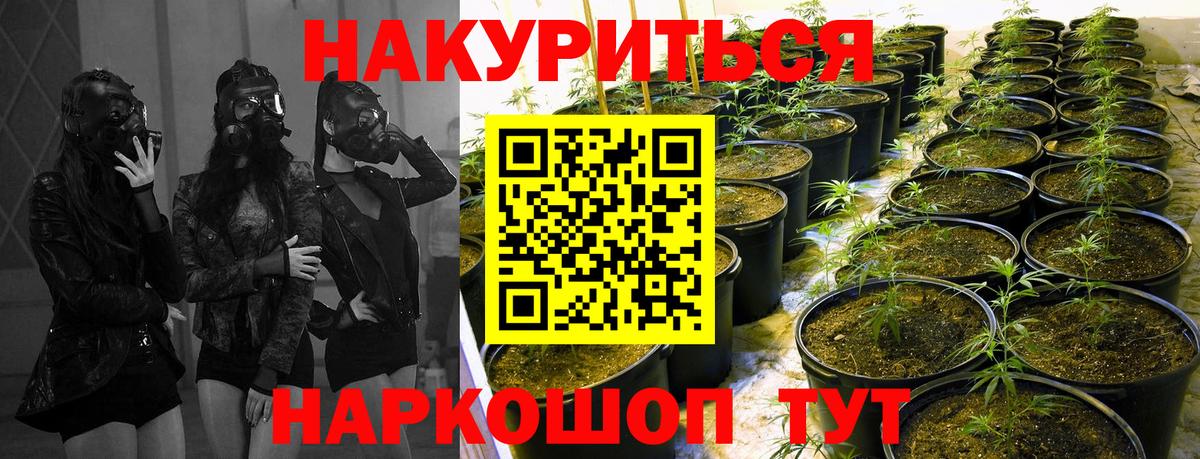 Бошки Шишки конопля  Каннабис White Widow  Шишки марихуана VHQ  Вход с VPN  Бошки марихуана MAZAR  Касимов 